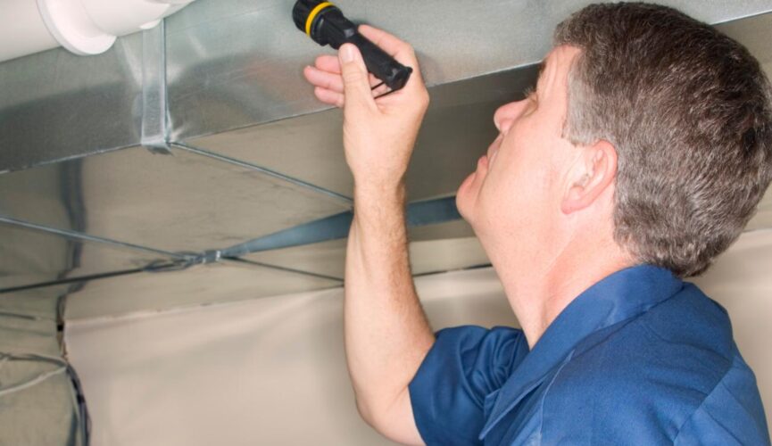 Mold Inspections
