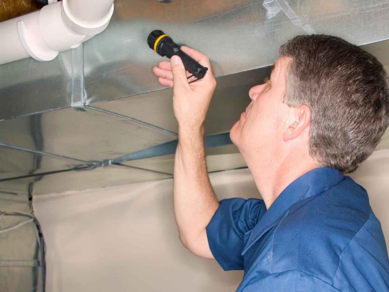 Mold Inspections That Will Solve All Of Your Troubles